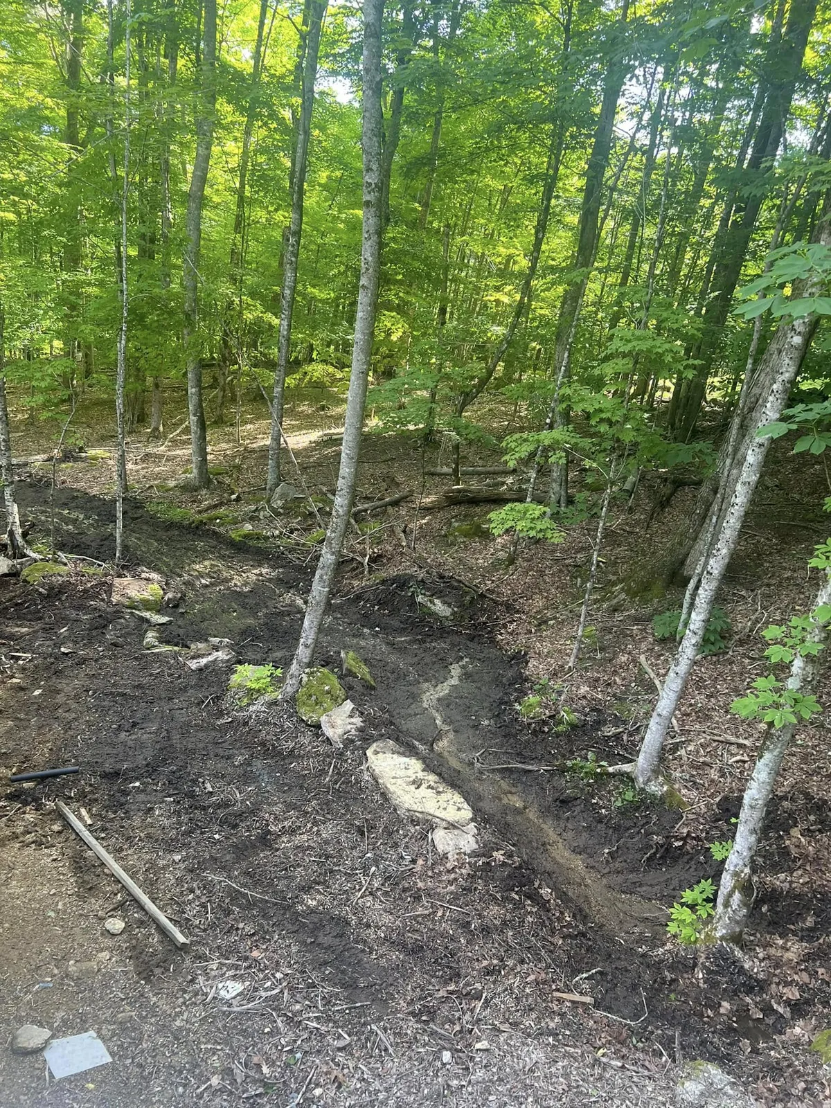 Diversion ditch cut into the slope to route a spring away from the porch